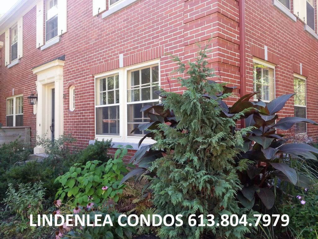 lindenlea-condos-ottawa-condominiums-22-60-belvedere-crescent (1)