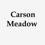 ottawa condos for sale in carson meadow
